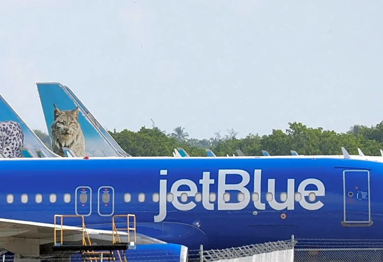 Lawsuit accuses JetBlue of using customers' personal data to raise air fares