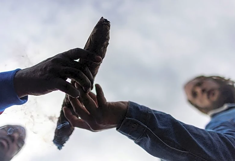 Instant View: Cannabis rescheduling fuels optimism across industry