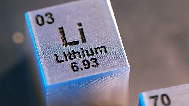 Australian lithium miner PLS says energy security concerns driving demand growth