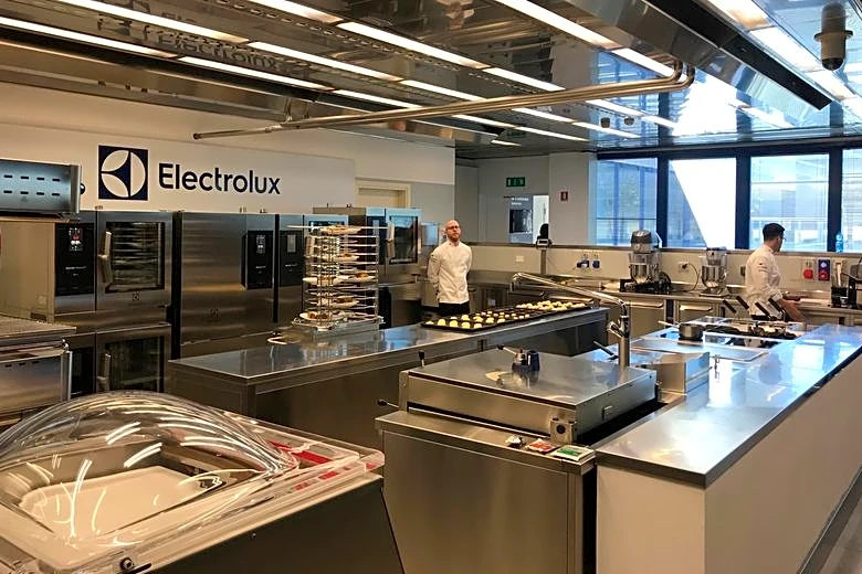 Electrolux shares fall 24% as it swings to quarterly loss on US demand slump