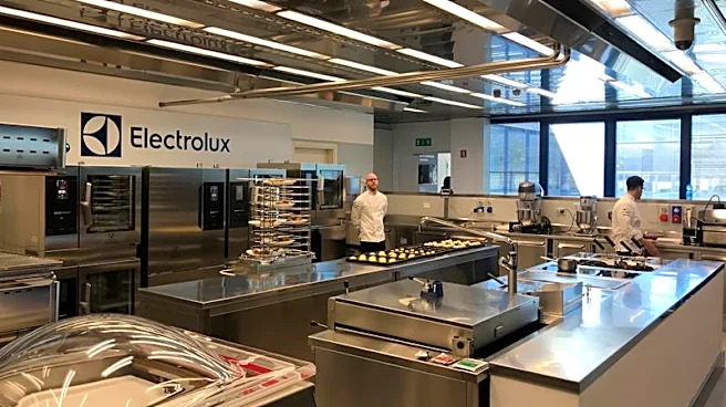 Electrolux shares fall 24% as it swings to quarterly loss on US demand slump