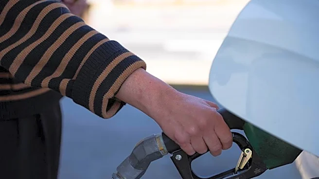 API, farm groups urge Congress to back year-long E15 sales as prices rise