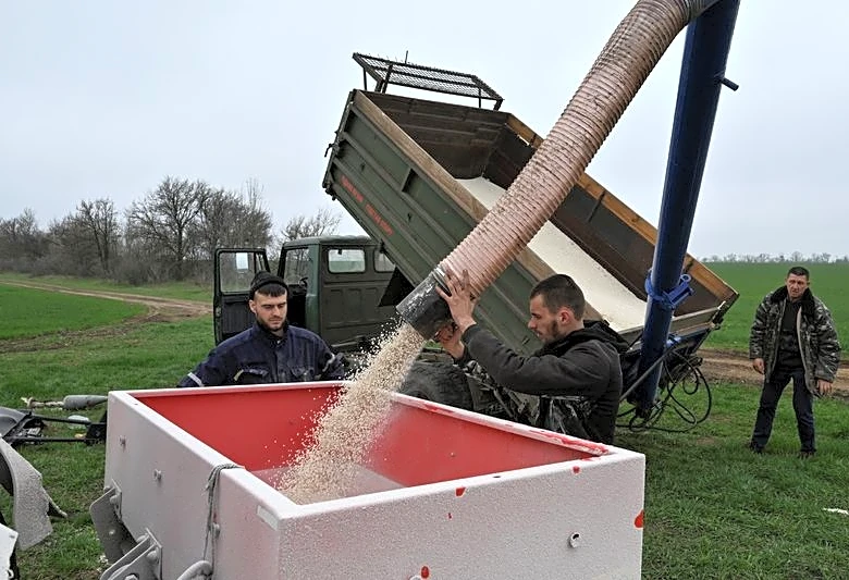 Analysis-Iran war fertiliser squeeze could spell trouble for next year's grain harvests