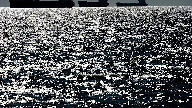 Exclusive-Russian 'shadow fleet' undeterred by Starmer's threat as nearly 100 ships cross UK waters