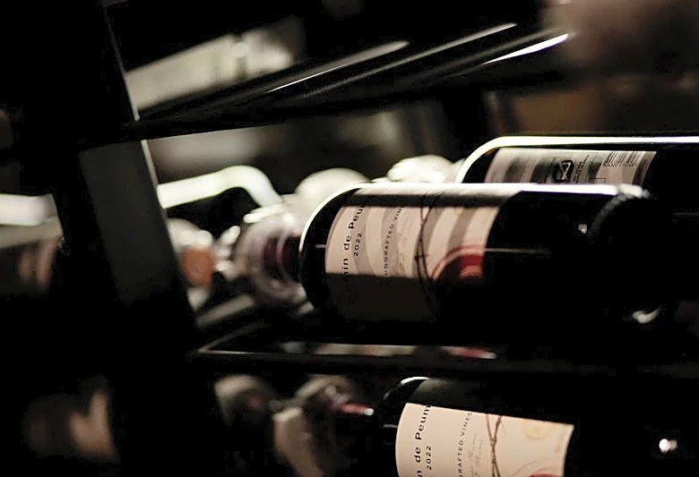 Chile's wine industry targets younger drinkers as consumption slumps