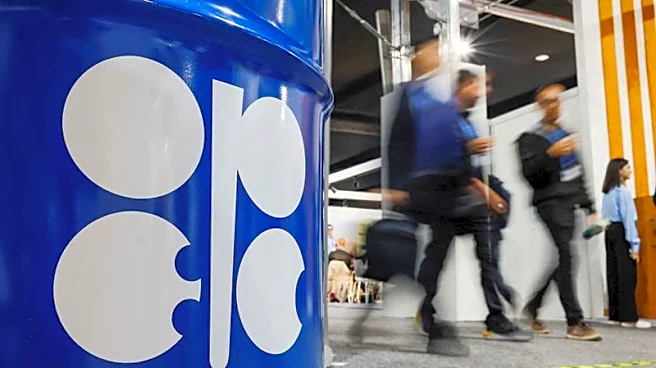 Russia to remain in OPEC+, hopes UAE exit does not spell end of group