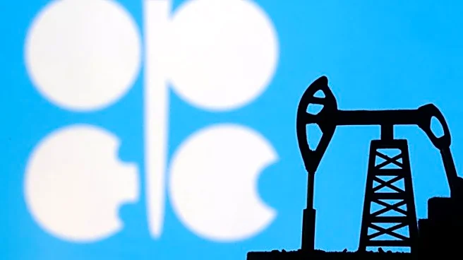 UAE reviewing multilateral ties after OPEC exit but rules out more departures, official says