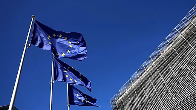 French regulator says most e-commerce platform products it tested breach EU rules