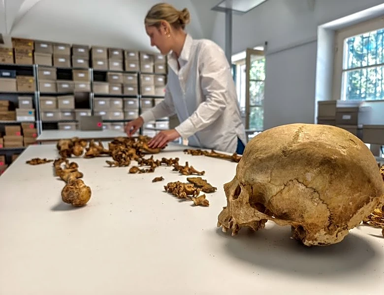 Genome study reveals what happened after the Roman Empire fell