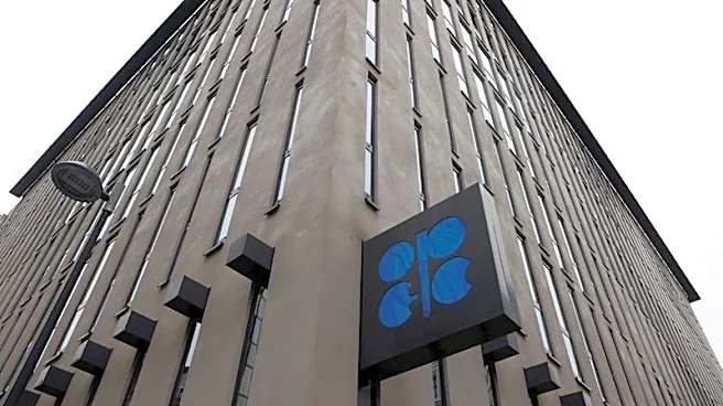 Goldman says UAE's exit from OPEC raises medium-term oil supply upside risk