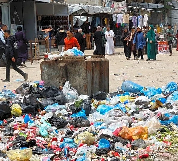 Rats infest Gaza's tent camps, biting children and spreading disease