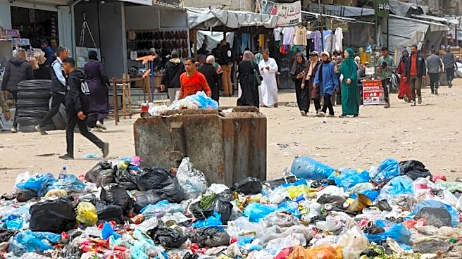 Rats infest Gaza's tent camps, biting children and spreading disease