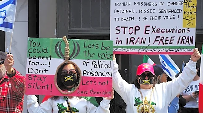 Iran's North American diaspora split over next steps after Trump's ceasefire