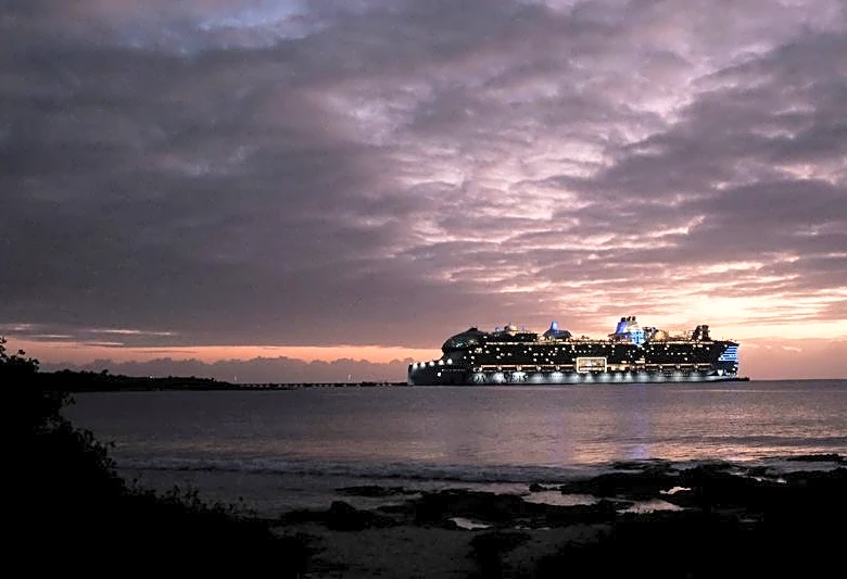 Royal Caribbean cuts annual profit forecast, sees higher fuel costs