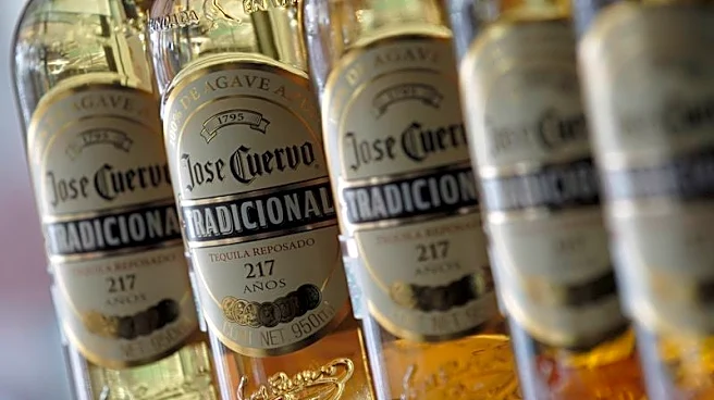 Tequila giant Becle's stock tumbles as US shakeup hits profits