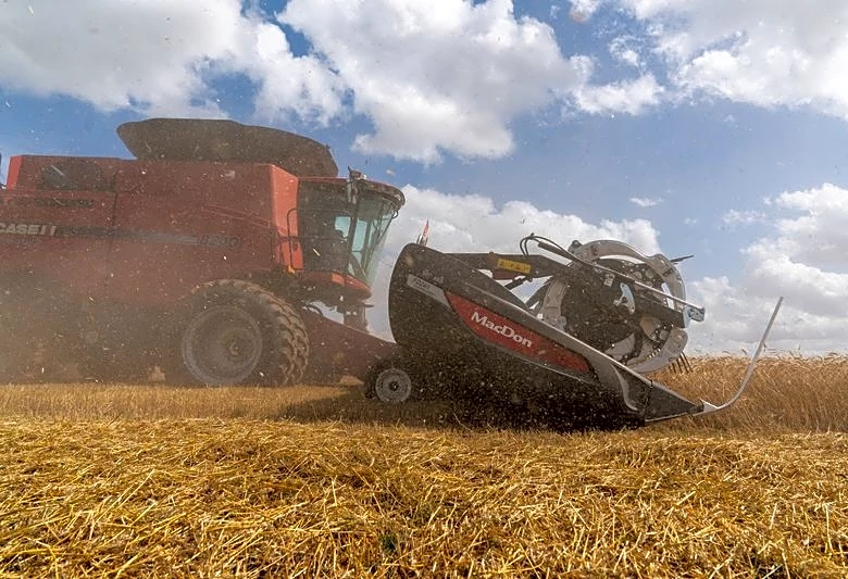 Chicago grains pare gains, mirroring crude oil