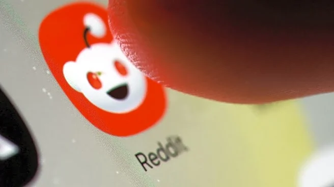 Reddit rallies as AI‑driven ad growth fuels strong revenue outlook