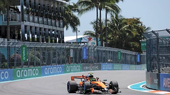 Motor racing-TV viewing figures must be next big push for F1 in America, says Brown