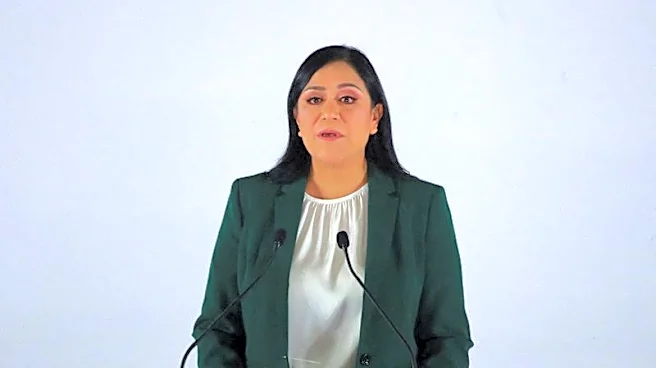 Mexico's ruling morena party appoints Ariadna Montiel as new leader