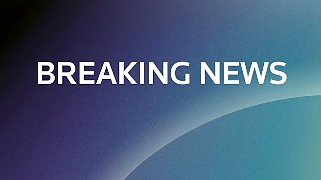 Driver arrested in Germany after reports car runs into crowd in Leipzig