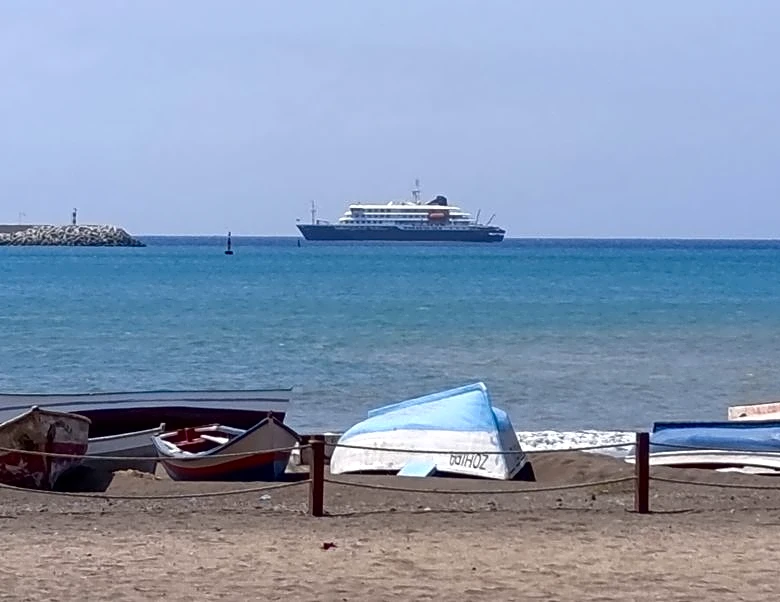 Seven cases of deadly hantavirus confirmed or suspected on stranded cruise ship