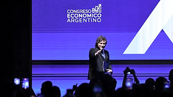 Argentina's auto parts industry feels the pain from Milei's shock therapy