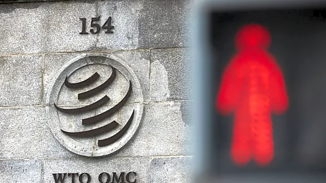 Exclusive-US and others propose e-commerce pact as WTO deadlock deepens