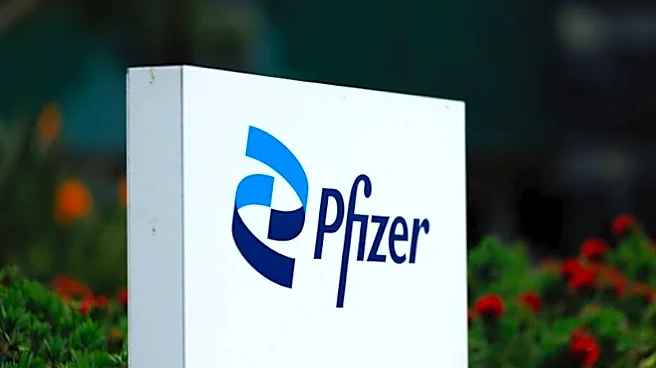 Pfizer pins post 2028 return to growth on new obesity and cancer drugs