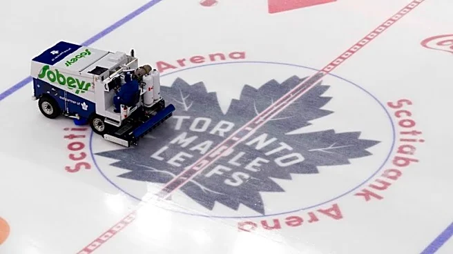 Maple Leafs win No. 1 pick in NHL draft lottery