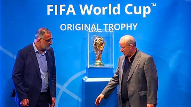 Soccer-Iranian FA chief says FIFA guarantees over IRGC respect essential for World Cup trip