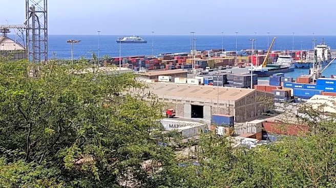 Explainer-What is the hantavirus that killed three cruise ship passengers?