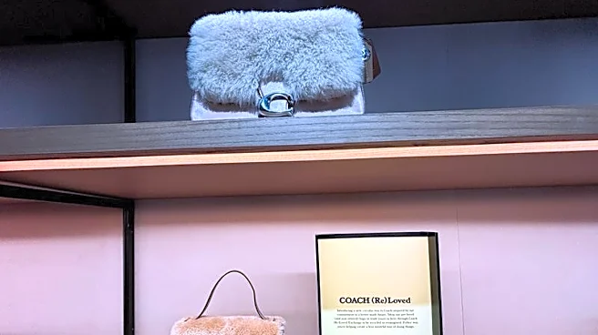 Tapestry lifts annual targets, beats quarterly estimates on strong demand for Tabby bags