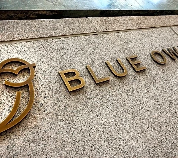 Blue Owl private credit fund will lower software exposure, CEO says