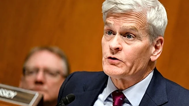 Kennedy allies spent $117,000 targeting US Senator Cassidy this week