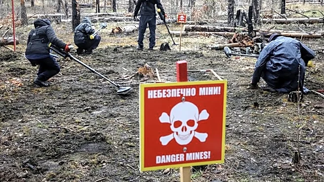 Man, machine and AI combine in battle to clear Ukraine of mines and shells
