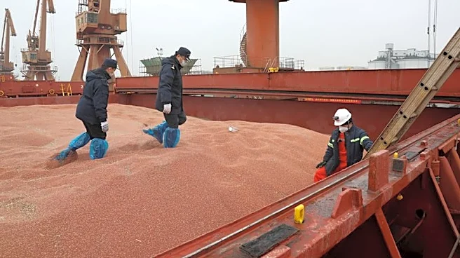 Xi-Trump summit may yield farm deal, but China has limited soybean appetite