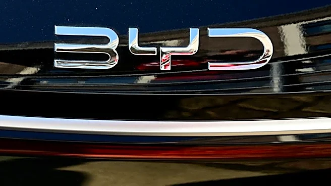 BYD in talks with Stellantis, others for Europe plants, Bloomberg News reports