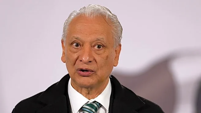 Exclusive-Mexico's Pemex CEO, close ally of Sheinbaum, under threat as woes mount