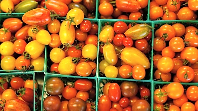 US producer prices post biggest gain in four years in April