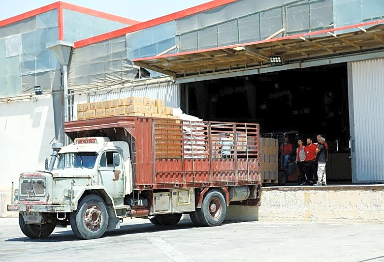 UN food agency halves Syria food aid, halts bread subsidy over funding shortages