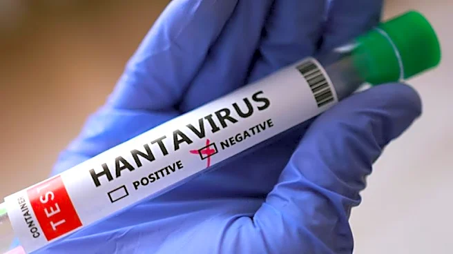 Hantavirus risk to US public remains low, CDC says
