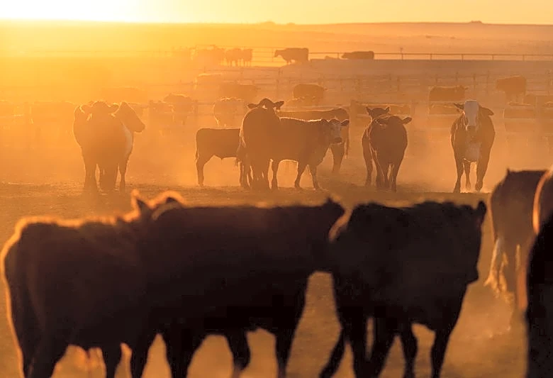 China renews licences for hundreds of US beef exporters amid Trump-Xi summit