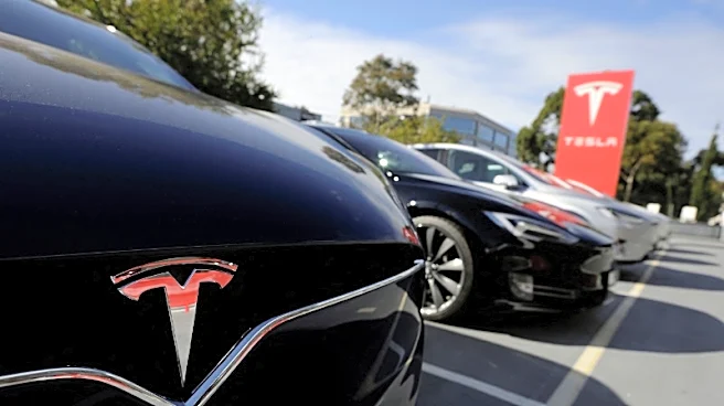 Australian judge criticises Tesla for 'gobsmacking' slow progress in class action lawsuit