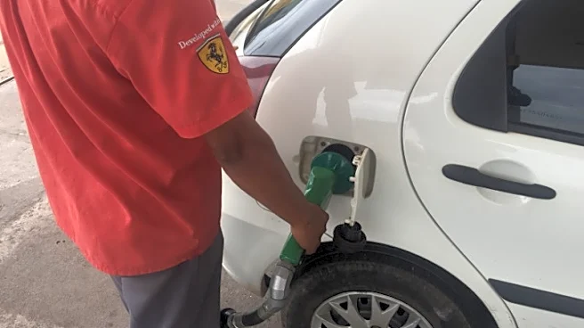 US, Brazil see jump in ethanol exports as consumers seek to boost fuel supplies