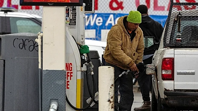 US oil refiners finally profit from biofuels due to mandates, high fuel prices