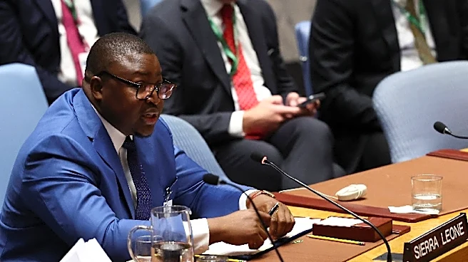 Sierra Leone to take in hundreds of West Africans deported by US, minister says