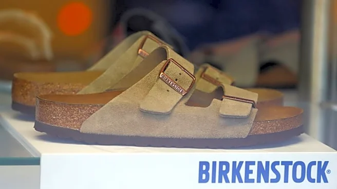 Analysis-Birkenstock loses its footing as luxury ambitions unravel