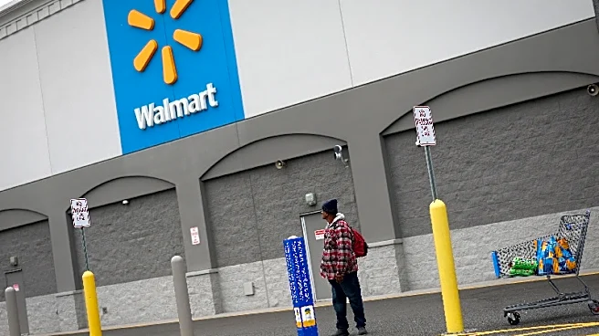Scale, online push and loyalty fees: how Walmart won the year of the tariffs