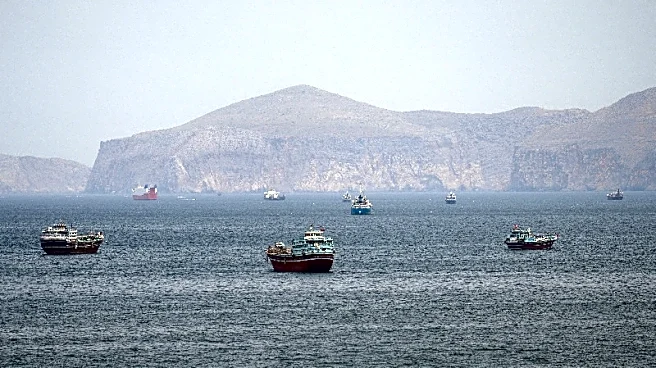 NATO not drawing up plans for Hormuz mission, top commander says