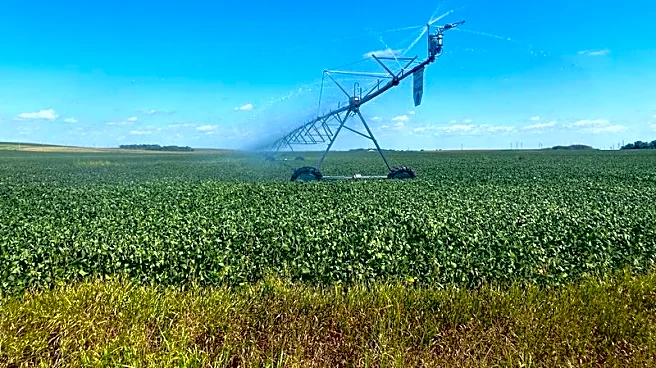 China again flags tariff cuts for US agricultural trade after Trump-Xi meeting, but still no details